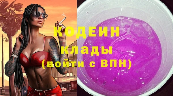 шишки Тобольск