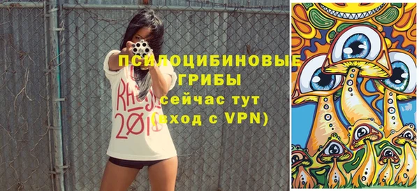 прущая мука Гусь-Хрустальный