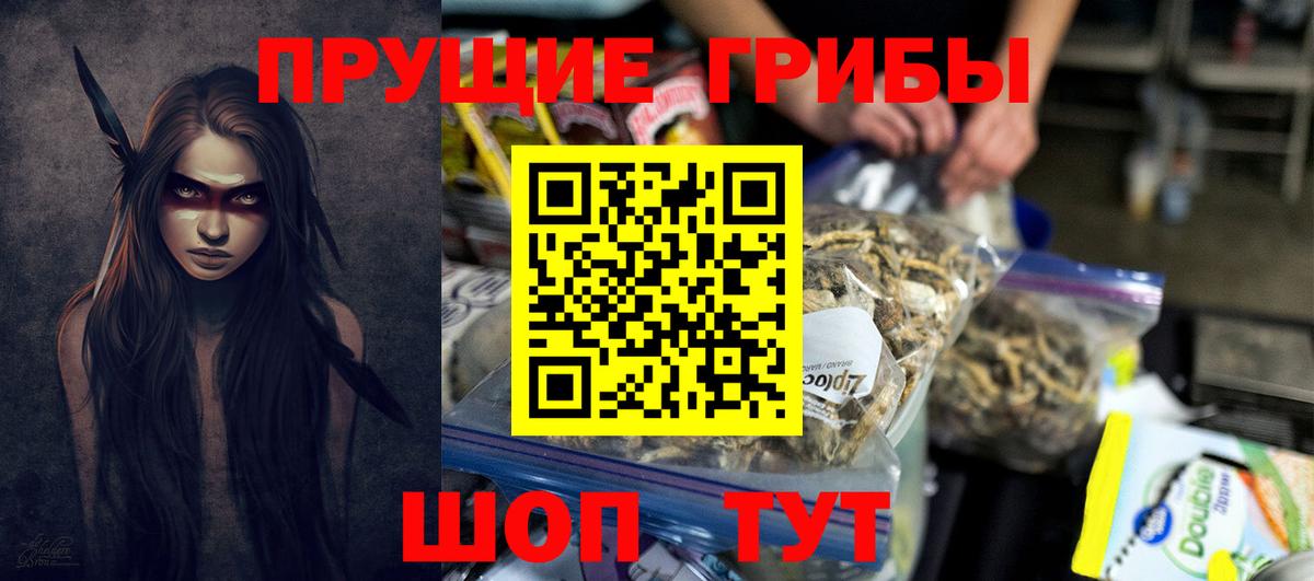 Псилоцибиновые грибы Cubensis  Псилоцибиновые грибы Cubensis  Ижевск  Вход с VPN 
