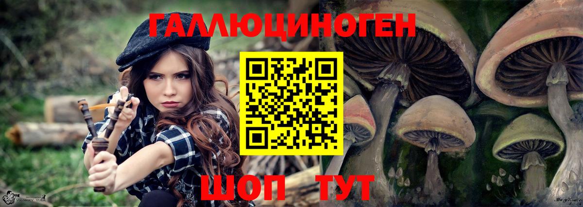 Псилоцибиновые грибы Cubensis  Галлюциногенные грибы прущие грибы  сколько стоит  Ижевск 